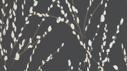 Mikado  Charcoal W406-07